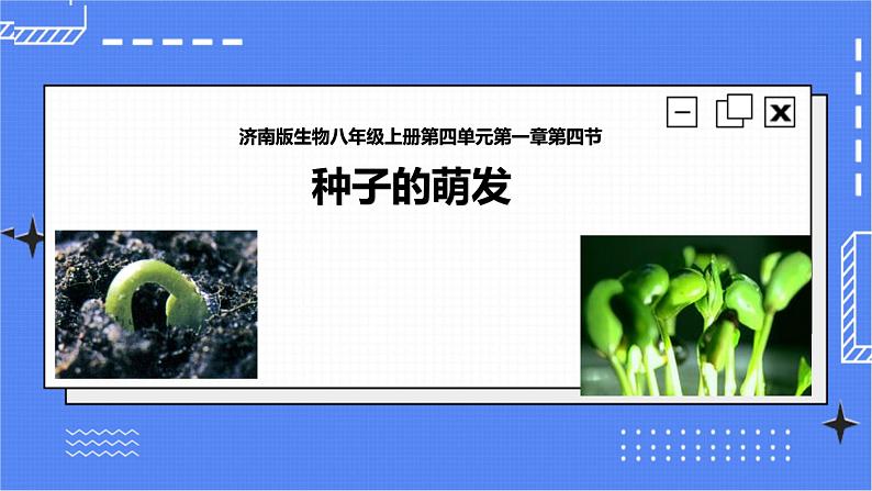 济南版生物八上1.4种子的萌发   课件+教案+练习01