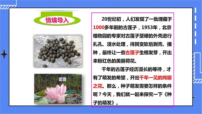 济南版生物八上1.4种子的萌发   课件+教案+练习02