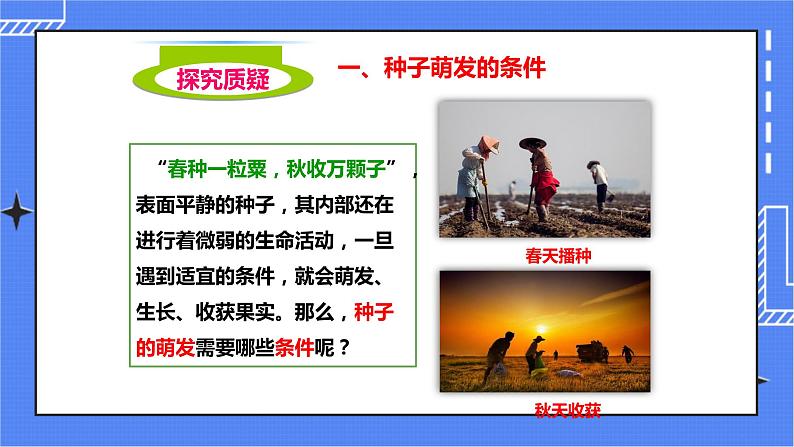 济南版生物八上1.4种子的萌发   课件+教案+练习03