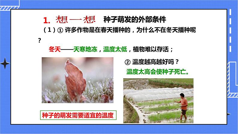 济南版生物八上1.4种子的萌发   课件+教案+练习04