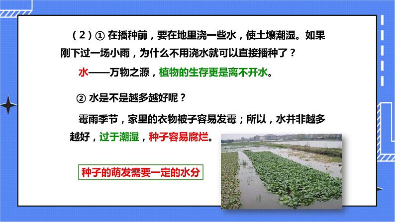 济南版生物八上1.4种子的萌发   课件+教案+练习05