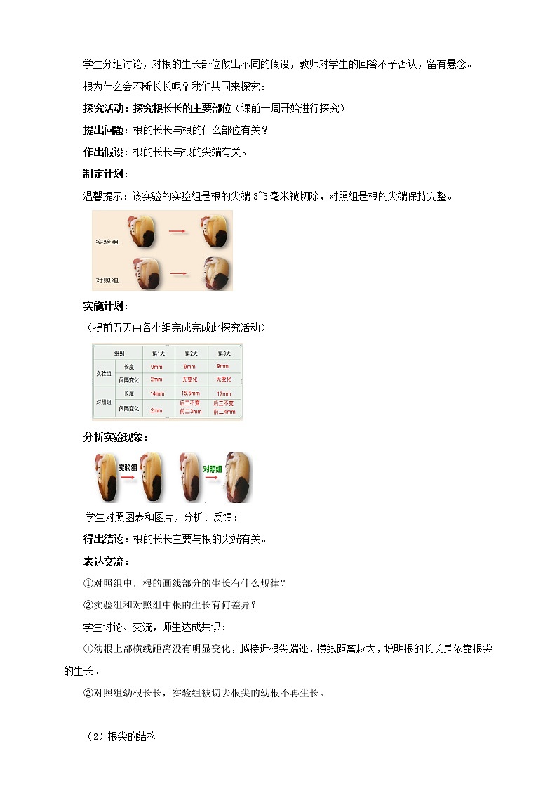 济南版生物八上1.5根的结构与功能   课件+教案+练习03