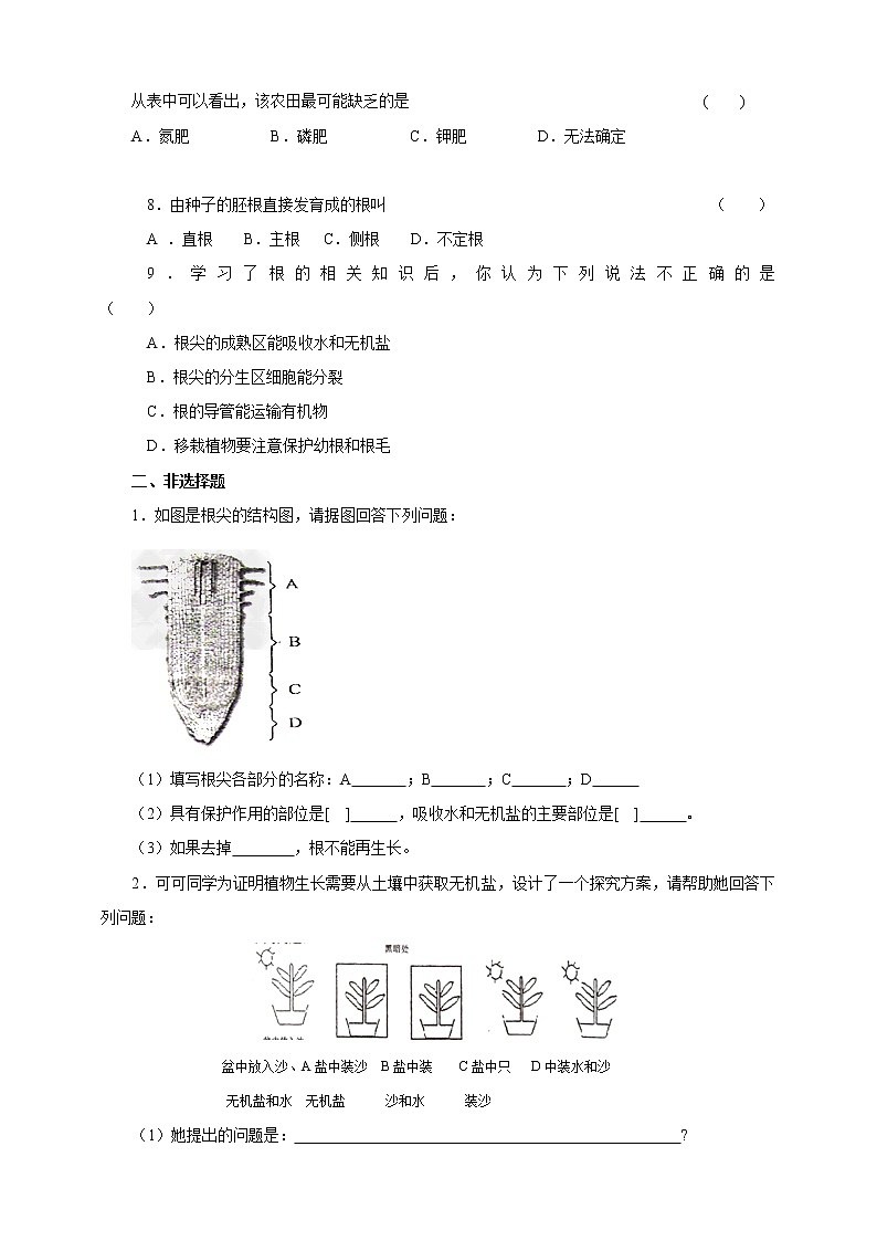 济南版生物八上1.5根的结构与功能   课件+教案+练习02