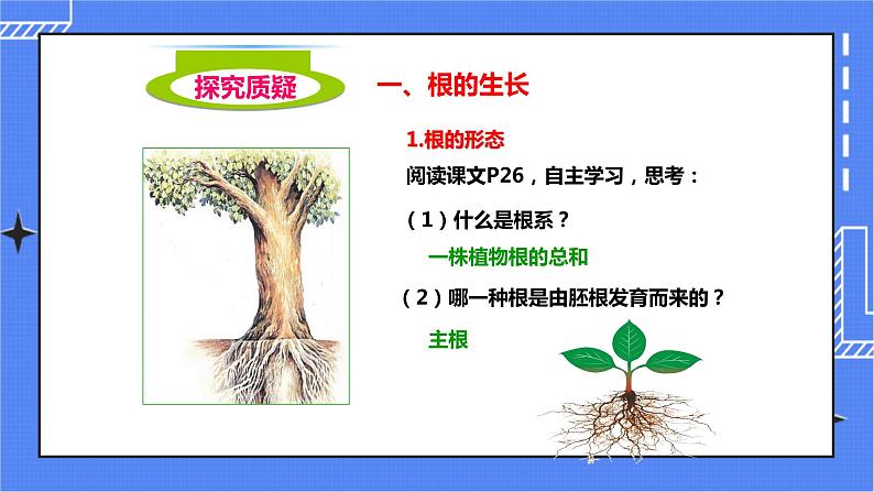 济南版生物八上1.5根的结构与功能   课件+教案+练习03