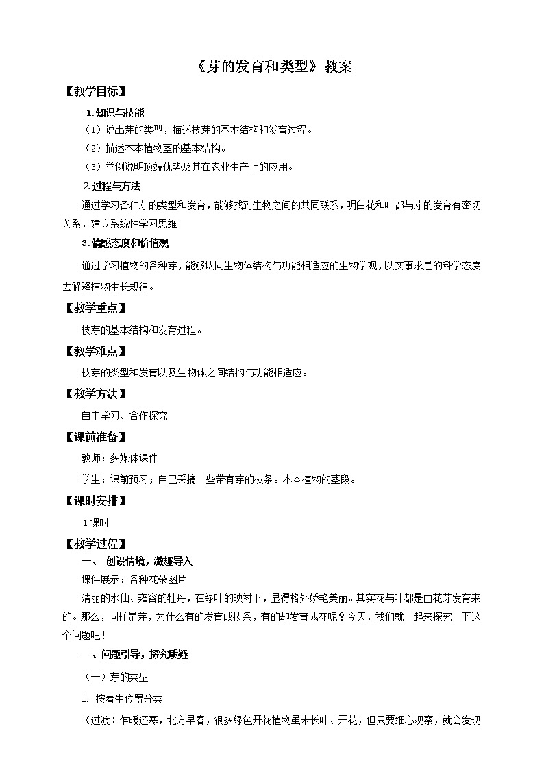 济南版生物八上1.6《芽的类型和发育》  课件+教案+练习01