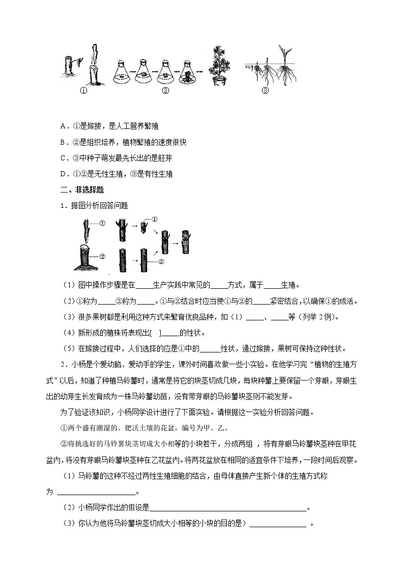 济南版生物八上1.7《植物的无性生殖》  课件+教案+练习02