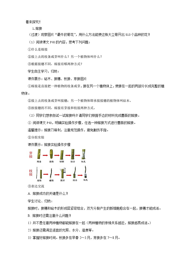 济南版生物八上1.7《植物的无性生殖》  课件+教案+练习03
