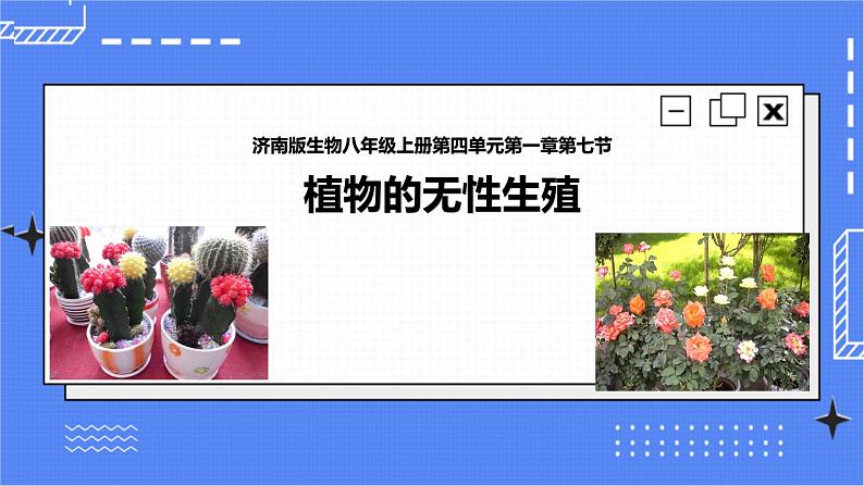 济南版生物八上1.7《植物的无性生殖》  课件+教案+练习01