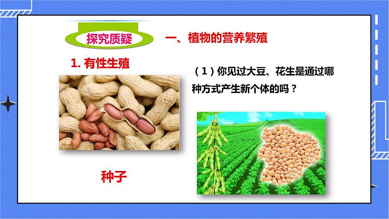 济南版生物八上1.7《植物的无性生殖》  课件+教案+练习03