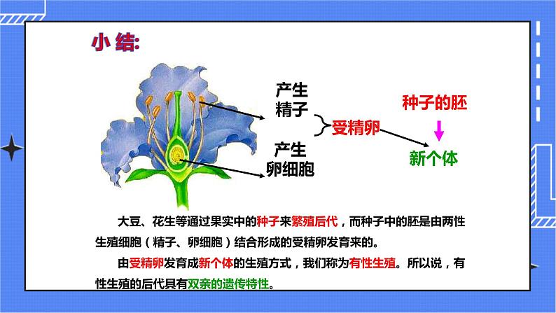济南版生物八上1.7《植物的无性生殖》  课件+教案+练习05