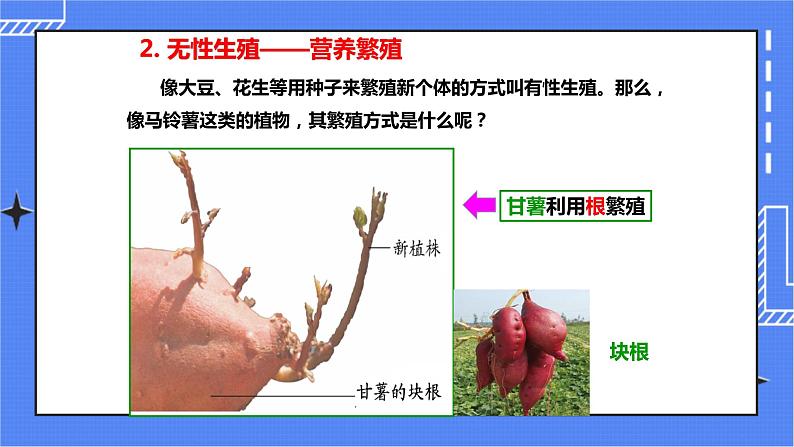 济南版生物八上1.7《植物的无性生殖》  课件+教案+练习06