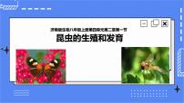 初中生物济南版八年级上册第一节 昆虫的生殖和发育优质课课件ppt