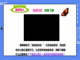 济南版生物八上2.1昆虫的生殖和发育   课件+教案+练习
