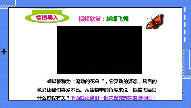 济南版生物八上2.1昆虫的生殖和发育   课件+教案+练习02