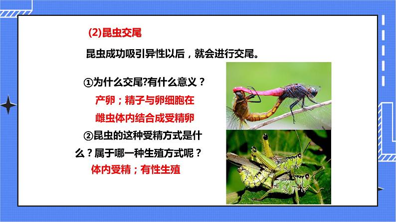 济南版生物八上2.1昆虫的生殖和发育   课件+教案+练习06