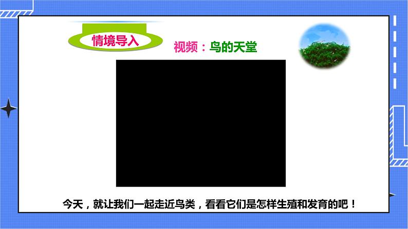 济南版生物八上2.3 鸟的生殖和发育  课件+教案+练习02