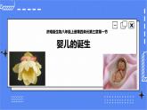 济南版生物八上3.1 婴儿的诞生  课件+教案+练习