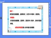 济南版生物八上3.1 婴儿的诞生  课件+教案+练习