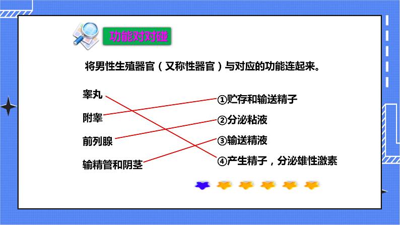 济南版生物八上3.1 婴儿的诞生  课件+教案+练习08