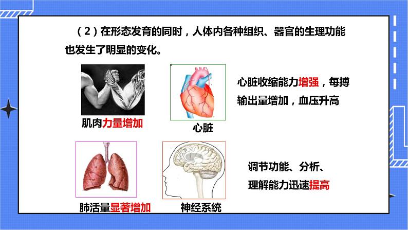 济南版生物八上3.2 青春期发育  课件+教案+练习07