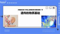 济南版第一节 遗传的物质基础精品ppt课件