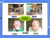 济南版生物八上4.2 性状的遗传  课件+教案+练习