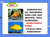 济南版生物八上4.4生物的变异  课件+教案+练习