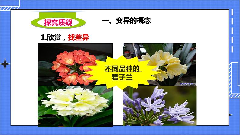 济南版生物八上4.4生物的变异  课件+教案+练习03