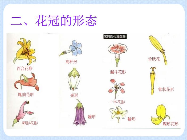 4.1 《植物——花的结构和植物的繁殖》 课件第3页