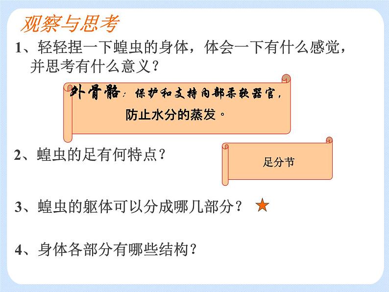 4.2《 动物——观察和解剖一种常见无脊椎动物》（实验）课件02