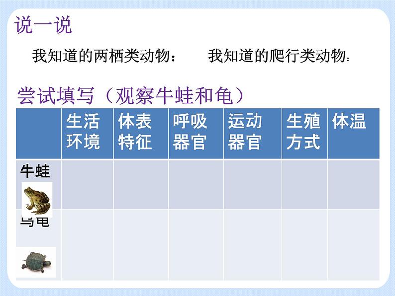 4.2《动物——两栖类、爬行类》 课件03