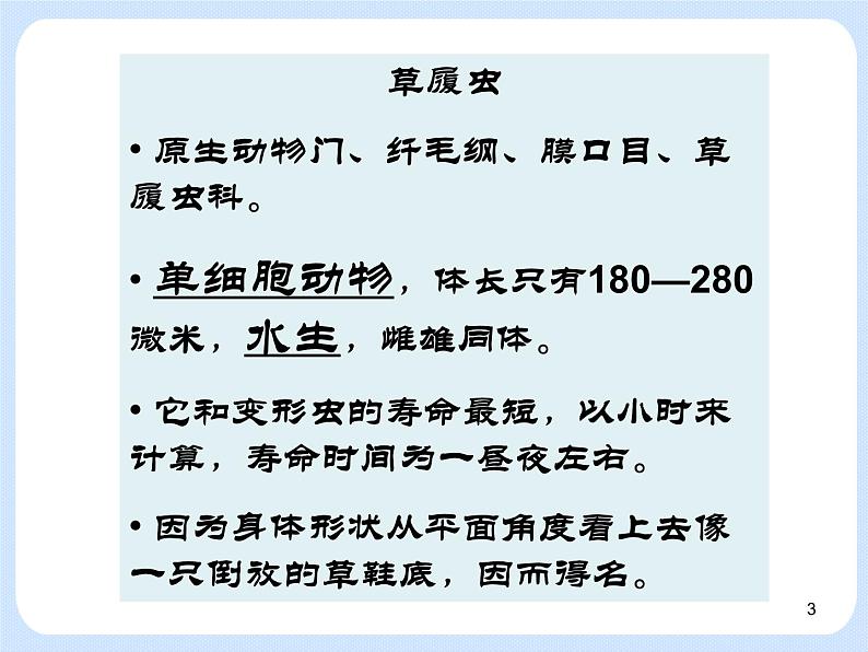 4.2《动物——原生动物、腔肠动物》 课件03