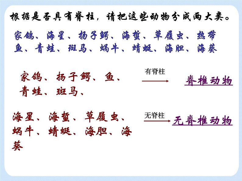 4.2《动物——鱼类 》课件02