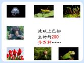 4.4 《生物的分类——分类的阶元 》课件