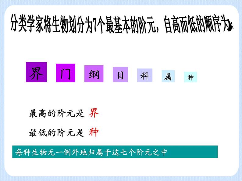 4.4 《生物的分类——分类的阶元 》课件06