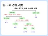 4.4《 生物的分类——分类检索表》 课件