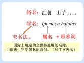 4.4《 生物的分类——物种的命名》 课件