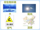 5.1《生物与环境》 课件