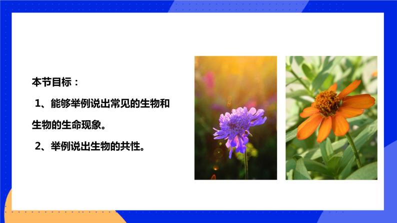 1.1.1《 我们周围的生物》课件+练习03