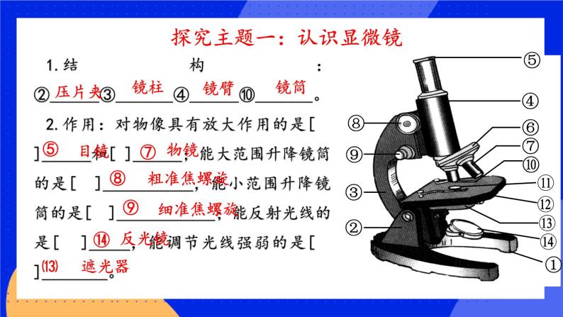 1.2.1《探索生命的器具》 课件+练习04