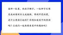 苏教版七年级上册第三节 细胞的分裂与分化优质课课件ppt