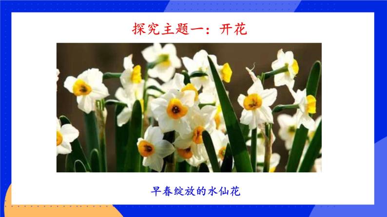 3.5.5《植物的开花和结果》 课件+练习04