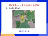 3.6.2《植物光合作用的场所》 课件+练习