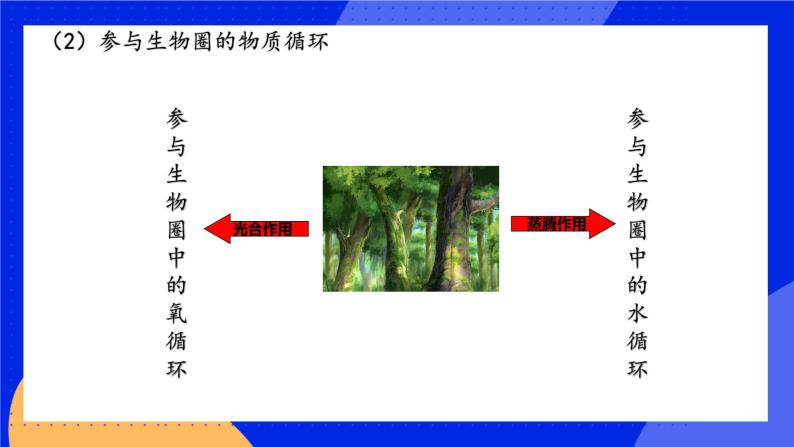 3.7.3《绿化，我们共同的行动》 课件+练习05