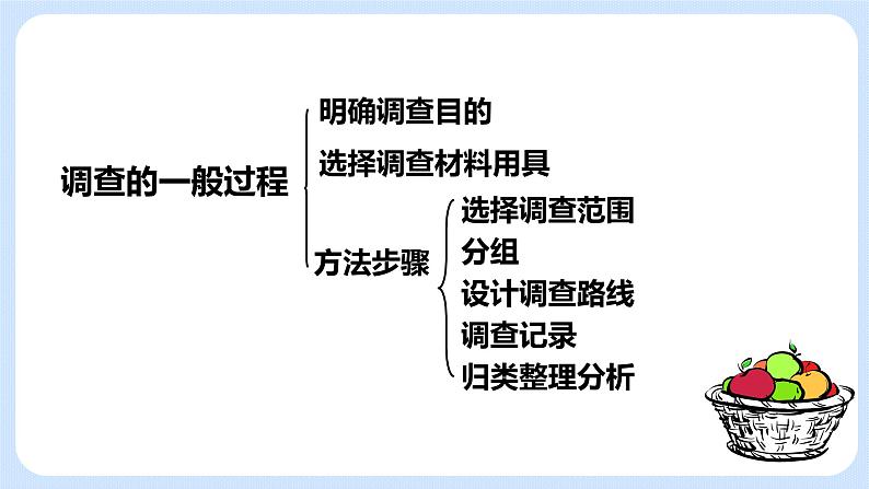 3.1《多种多样的生态系统》（第二课时）课件04