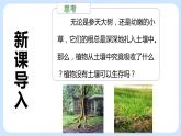 4.2《植物的生长需要水和无机盐》（第一课时）课件