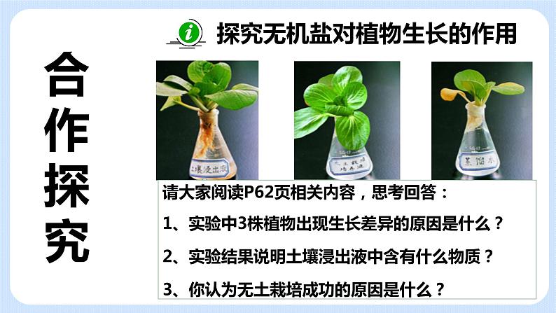 4.2《植物的生长需要水和无机盐》（第一课时）课件07