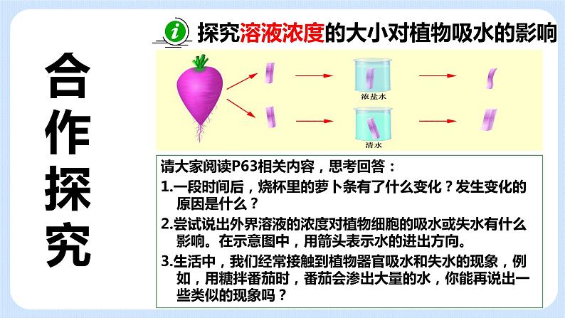 4.2《植物的生长需要水和无机盐》（第二课时）课件06