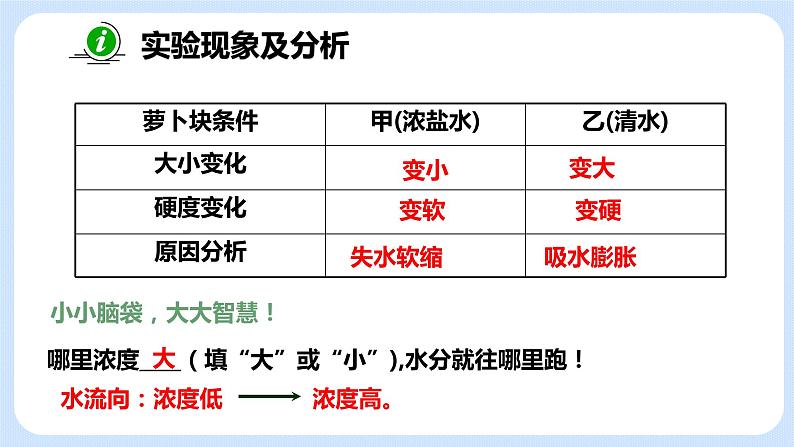 4.2《植物的生长需要水和无机盐》（第二课时）课件07