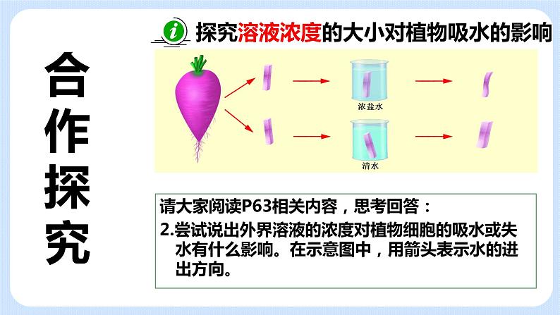 4.2《植物的生长需要水和无机盐》（第二课时）课件08